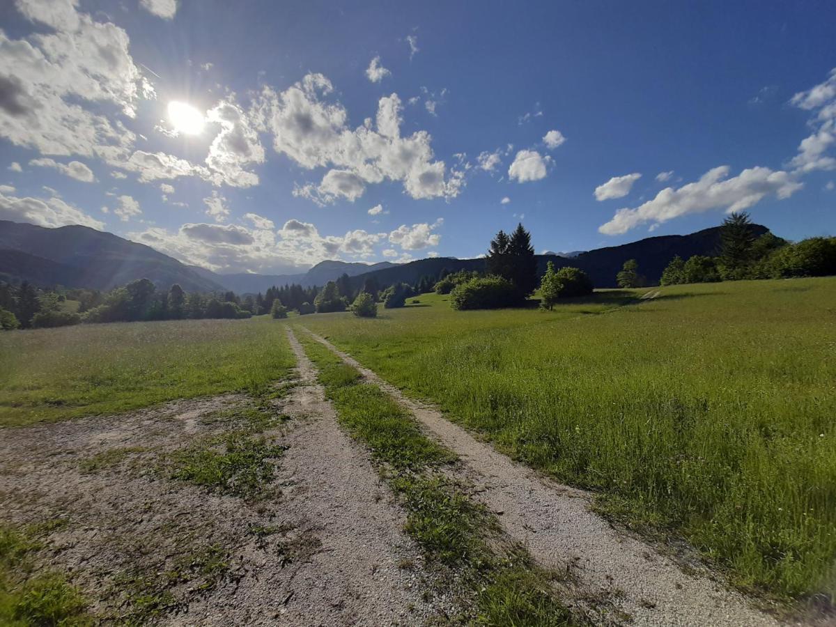 Markez Apartment Bohinj